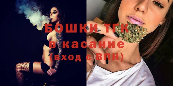 мет Алексин