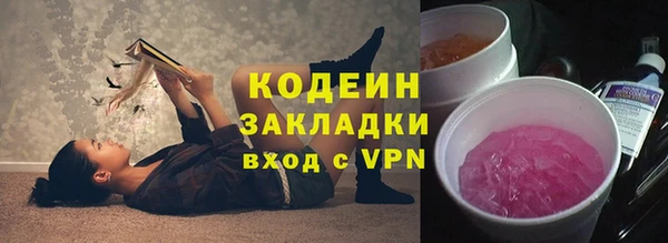 мет Алексин