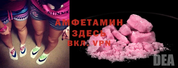 мет Алексин