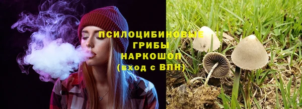эйфоретик Медногорск