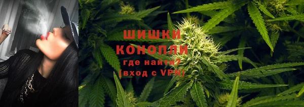 тгк Медвежьегорск