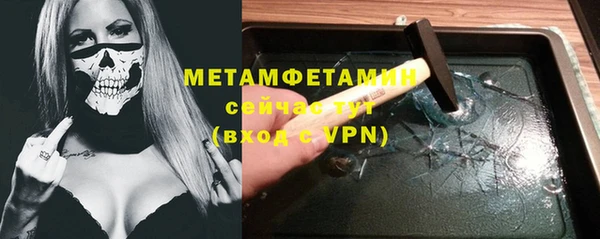 мет Алексин