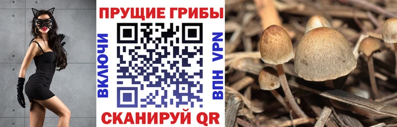 Галлюциногенные грибы ЛСД  Белгород 